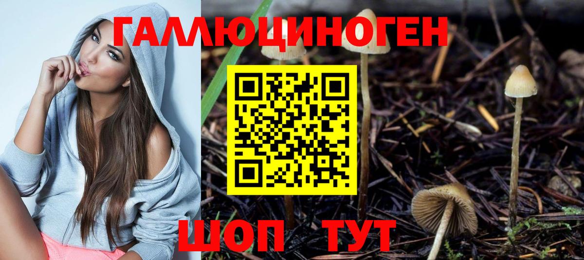 Красноуфимск  Галлюциногенные грибы мицелий  Вход с VPN  Галлюциногенные грибы Cubensis 