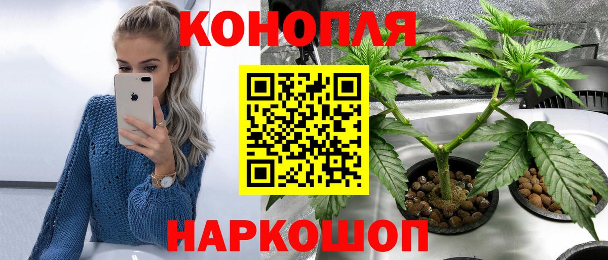 Красноуфимск  Каннабис гибрид  Канабис OG Kush  Вход с VPN  Бошки марихуана OG Kush 